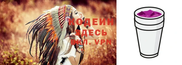 прущие грибы Каменск-Шахтинский