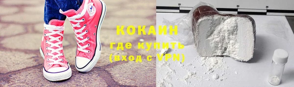 прущие грибы Каменск-Шахтинский