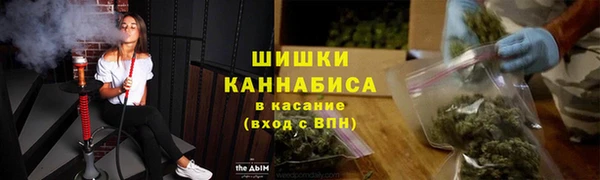 прущие грибы Каменск-Шахтинский