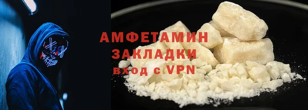 прущие грибы Каменск-Шахтинский