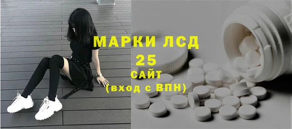 амф Инсар