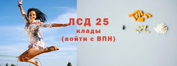 прущие грибы Каменск-Шахтинский