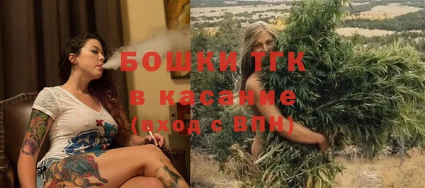 прущие грибы Каменск-Шахтинский