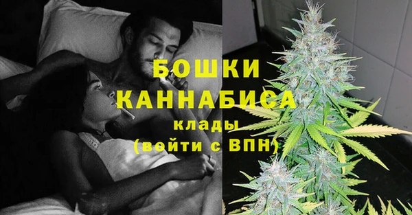 прущие грибы Каменск-Шахтинский