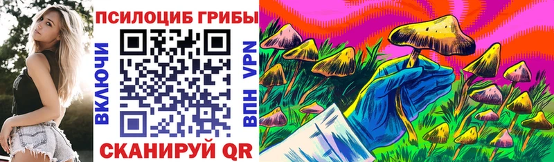Купить закладки  Чусовой  Галлюциногенные грибы Magic Shrooms 